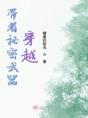 带着武器系统去穿越免费阅读