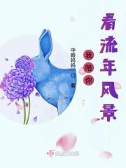 陪你去看流星雨百度百科