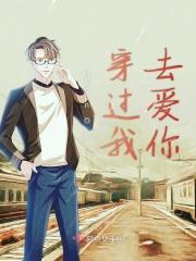 我穿过了风穿过你