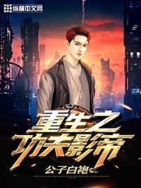 重生功夫之王世界