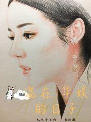 混在华娱的日子TXT