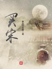 买宋plus还是宋l