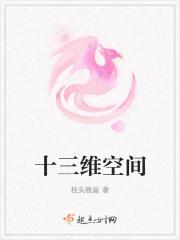 十三维空间是什么概念啊
