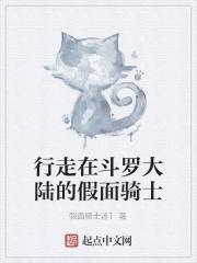 行走在斗罗大陆上的假面骑士