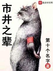 市井之辈书评