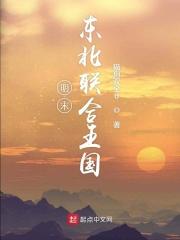 东北明主联军取得了