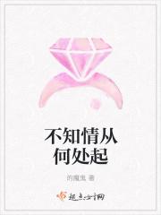 不知情归何处寻免费阅读