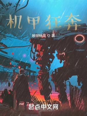 机甲疯狂2
