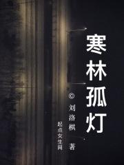 孤灯寒影是什么意思