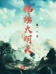 锦绣大明txt