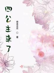 四公主是什么意思