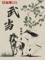武当是正一教还是全真教
