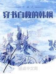 穿越斗破成韩枫