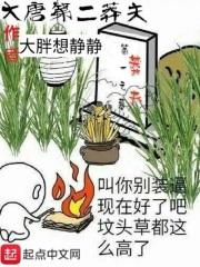 大唐二代名将