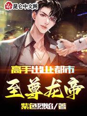 高手至尊叶昊免费