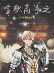 全职高手系统流