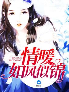 苏简安陆薄言视频