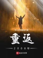 重返2008年txt