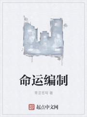 命运编年史 nga