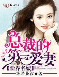 新界明媛总裁的第一爱妻