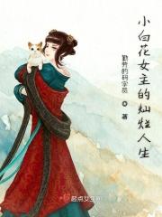 小白花女主专业户(快穿)txt