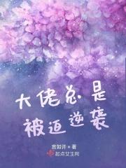 大佬每天被迫营业免费