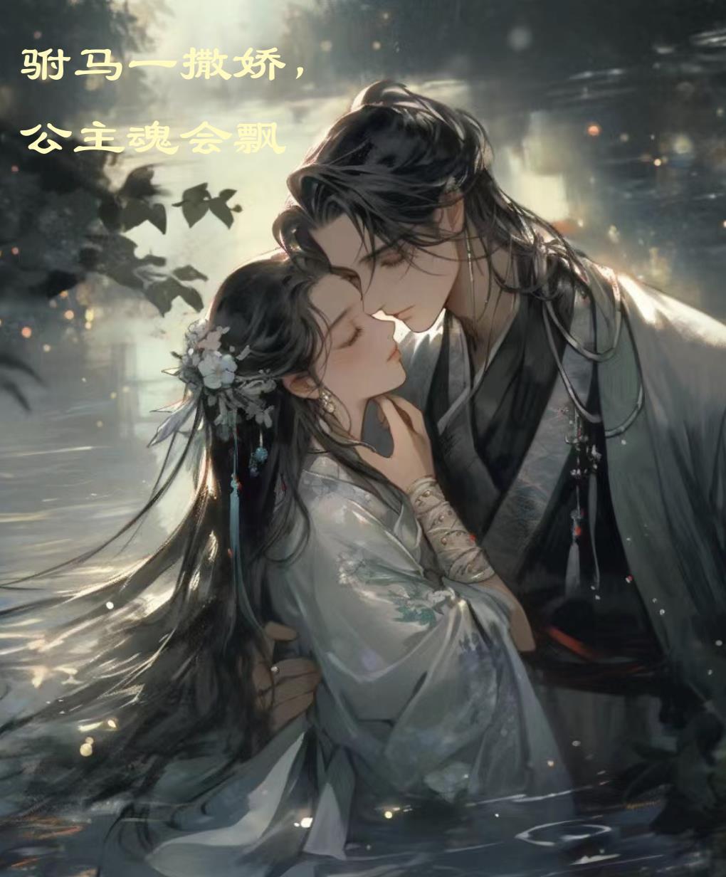 驸马做了公主