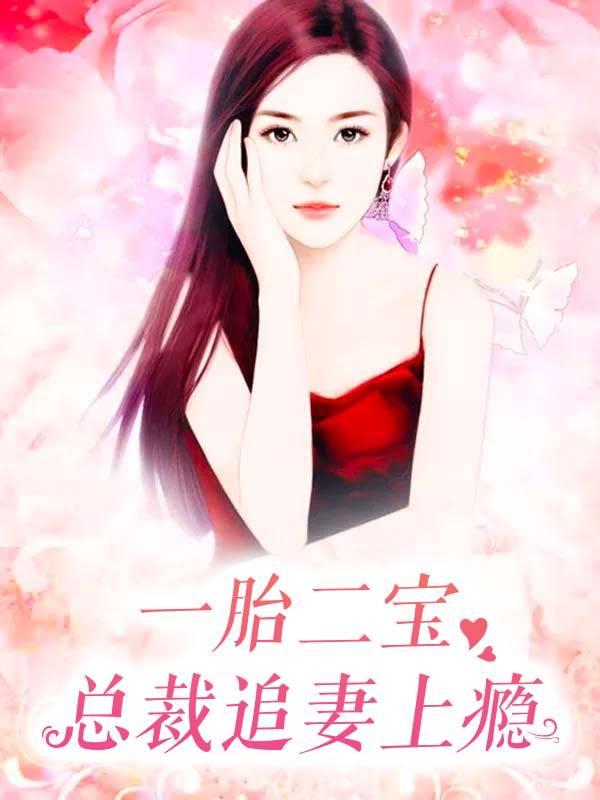 一胎两宝总裁追妻上瘾