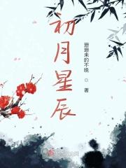 初月的意思