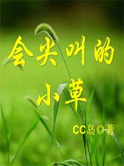 阳光下的孩子歌曲介绍