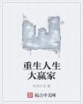 人生大赢家txt