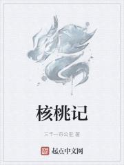 核舟记课堂笔记