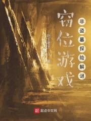 窃位游戏 txt