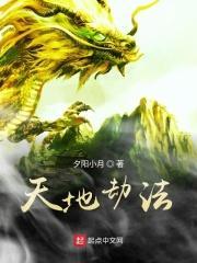 天地劫法宝升级优先顺序