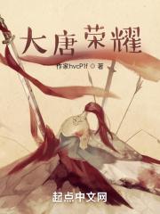 大唐荣耀电视剧免费观看