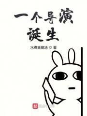 华娱之一个导演的诞生有完结吗