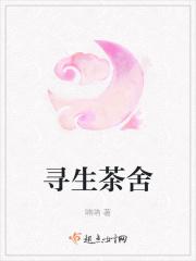 寻茶是什么茶哪里生产