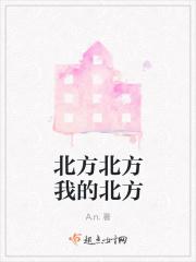北方小镇小锋与娘