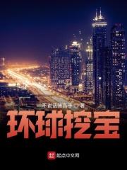 环球挖宝人