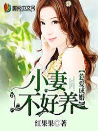 惹爱成婚染