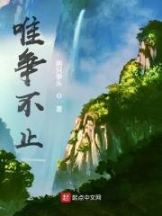 唯夫不争是什么意思