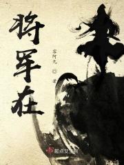 将军在下