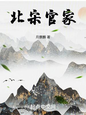 北宋官家百度百科