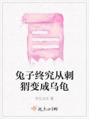 兔子刺猬熊猫动画片