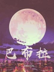 巴布拉机场在哪