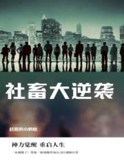 社畜游戏