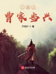 三国之曹家谋士