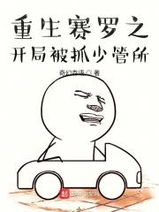 重生之赛罗系统