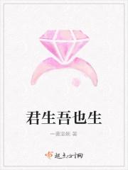 君生吾未生于毅歌曲
