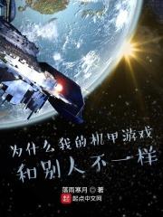 为什么我的机甲游戏和别人不一样起点